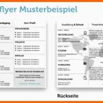 Schockieren Bewerbungsflyer Kandidatenkick Für Jobmessen