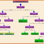 Schockieren Flowchartx Perfekte Flussdiagramm Activex Komponente