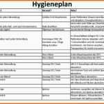 Selten 12 Hygieneplan Vorlage