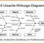 Selten 13 ishikawa Diagramm Vorlage