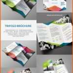 Selten 20 Best Indesign Brochure Templates for Creative