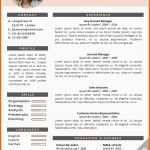 Selten Cv Template Milan Go Sumo Cv Template