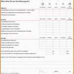 Selten Fragebogen Auswerten Probe Fragebogen Vorlage Excel Idee