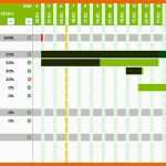 Selten Projektplan Excel