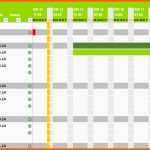 Selten Projektplan Excel