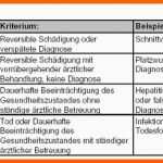 Selten Risikobewertung Festlegung Der Risikobewertungsmaßstäbe