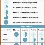 Selten Skill Matrix Wie Sie In Der Bewerbung Nutzen