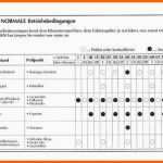 Selten Wartungsplan Vorlage Excel Elegant Schmierplan Vorlage