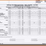 Sensationell 15 Pflegedokumentation Vorlage