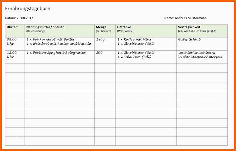 ernaehrungstagebuch vorlage