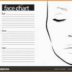 Sensationell Gesicht Diagramm Make Up Artist Leer Vorlage Vektor