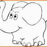 Sensationell Malvorlage Elefant Bilder Quotes Baby