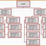 Sensationell Projektstrukturplan Definition Im Projektmanagement