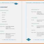 Spektakulär 70 Wunderbar Lebenslauf Openoffice Vorlage Kostenlos
