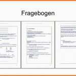 Spektakulär Fragebogen Vorlage Word – Vorlagens Download