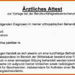 Spezialisiert Ärztliche Stellungnahme Berufsunfähigkeitsversicherung