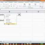 Spezialisiert Excel formulare Mit Dropdown