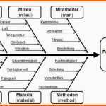 Spezialisiert ishikawa Diagramm Vorlage Elegant Risikoanalyse Fmea