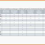 Spezialisiert Risikoanalyse Medizinprodukte Vorlage Risikoanalyse