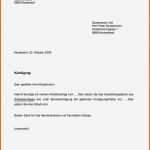 Tolle 1&amp;1 Kündigung Vorlage Pdf Fabelhaft Vorlage Kündigung