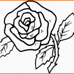 Tolle Prachtvolle Rose Ausmalbild &amp; Malvorlage Blumen