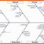 Tolle Schön ishikawa Diagramm Vorlage — Omnomgno