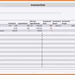 Überraschen Inventarliste Excel Vorlage
