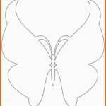 Ungewöhnlich butterfly Template butterfly Templates