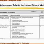 Ungewöhnlich Internes Audit Management Review Pdf