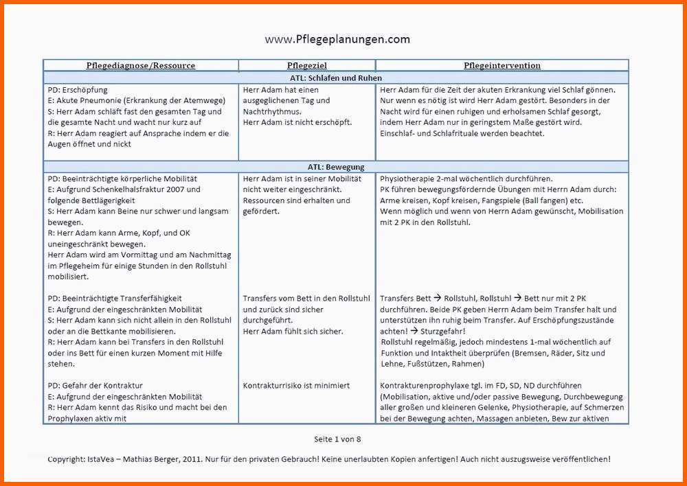 pflegeplanung muster zum ausdrucken