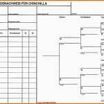 Ungewöhnlich Stammbaumvorlage Ahnentafel Ahnenforschung Genealogie