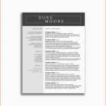 Unglaublich Word Vorlage Speichern Word Document Sample Resume Unique