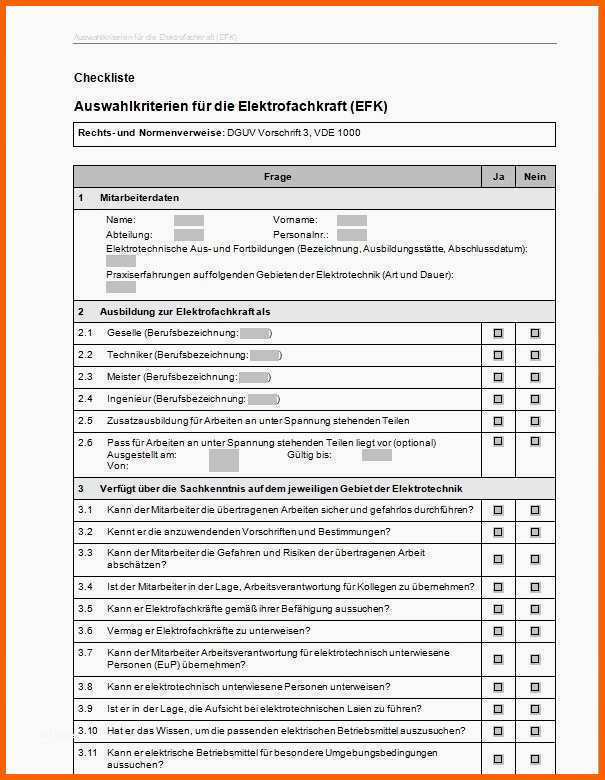 Unvergesslich Unterweisung Fremdfirmen Vorlage Erstaunlich Elektrocheck