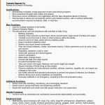 Unvergleichlich Microsoft Word Resume New Best Federal Government Resume